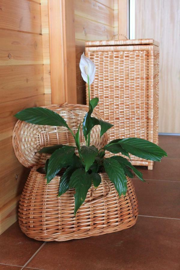 Quinta Da Pavoa - House Casa vacanze